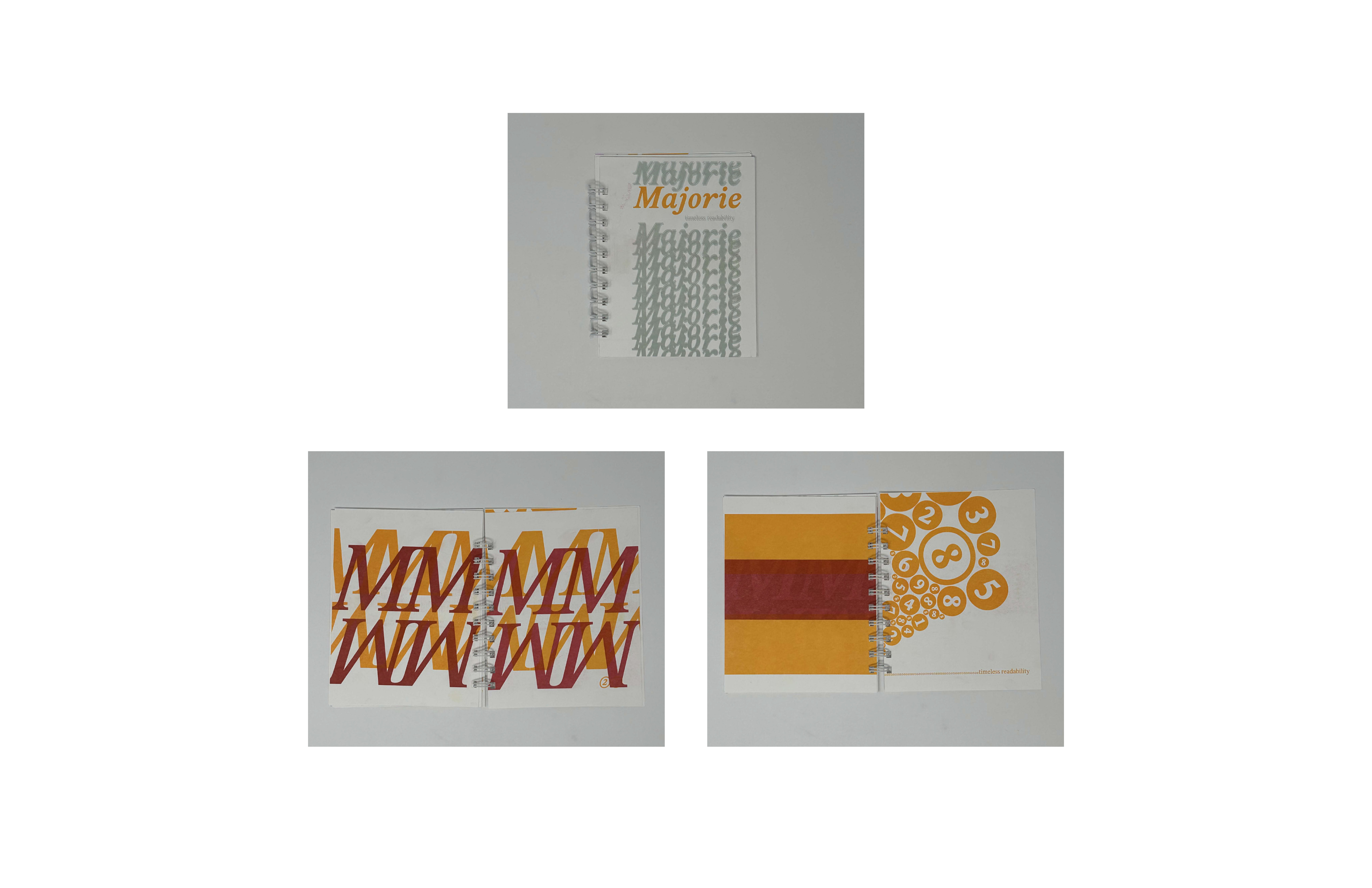 Risograph Publication — page 2